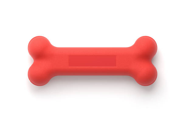 dog toy