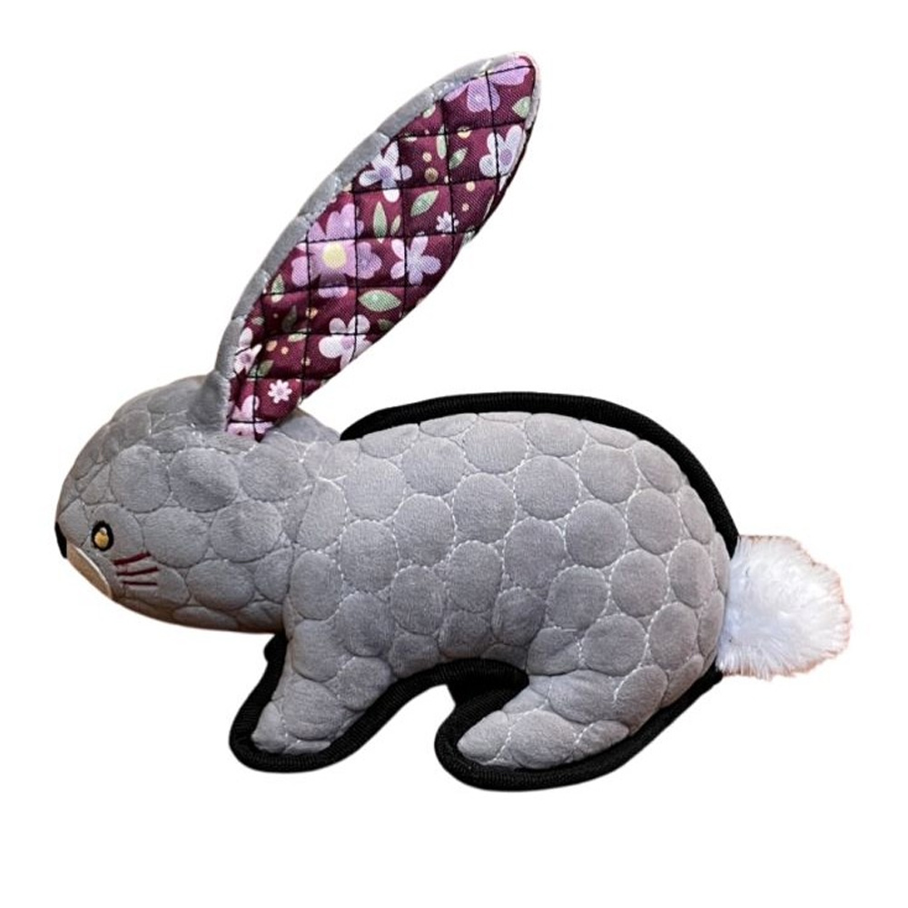 dog toy